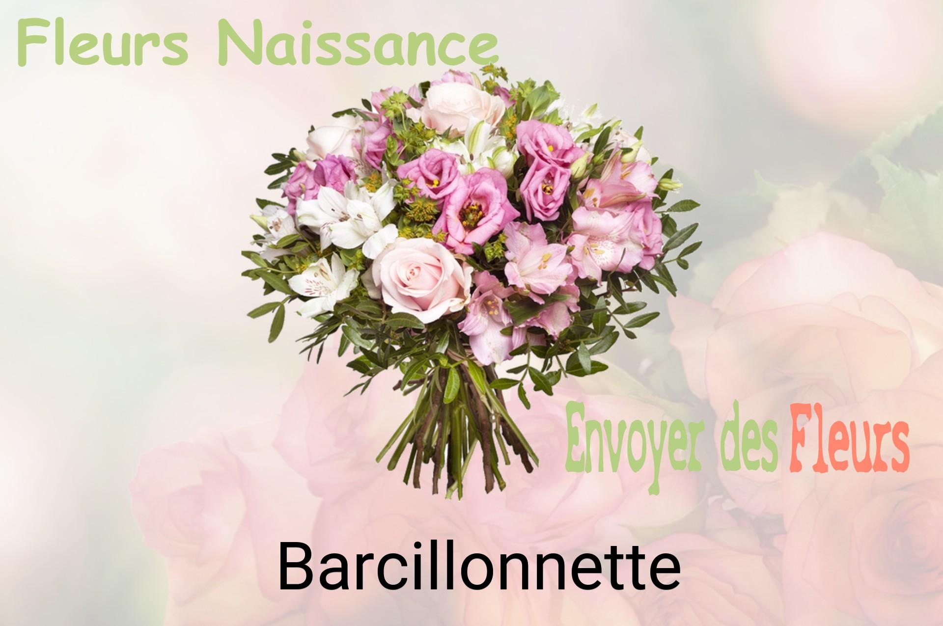 Bouquet de fleurs de naissance livré à Barcillonnette